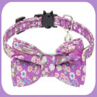 Collar-234